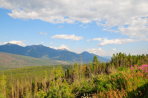 Национальный парк Кутеней